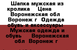 Шапка мужская из кролика  › Цена ­ 400 - Воронежская обл., Воронеж г. Одежда, обувь и аксессуары » Мужская одежда и обувь   . Воронежская обл.,Воронеж г.